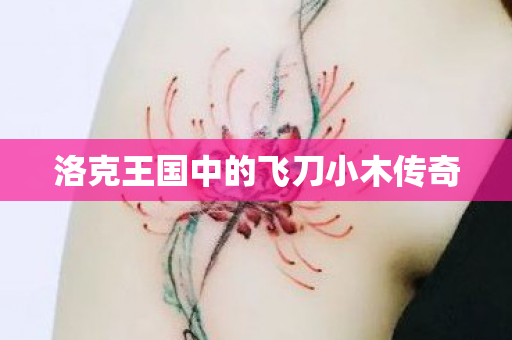 洛克王国中的飞刀小木传奇 洛克王国中的飞刀小木传奇