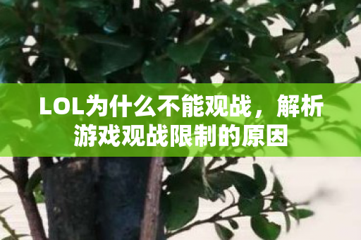 解析游戏观战限制的原因图片