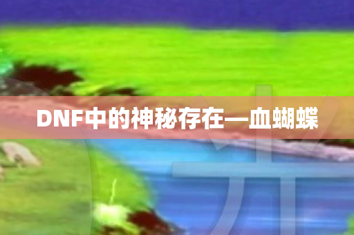 DNF中的神秘存在图片