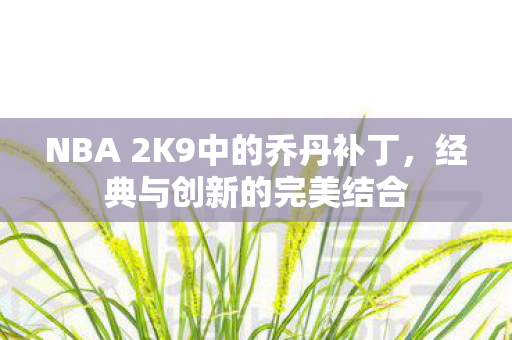 NBA 2K9中的乔丹补丁,经典与创新的完美结合 NBA 2K9中的乔丹补丁,经典与创新的完美结合