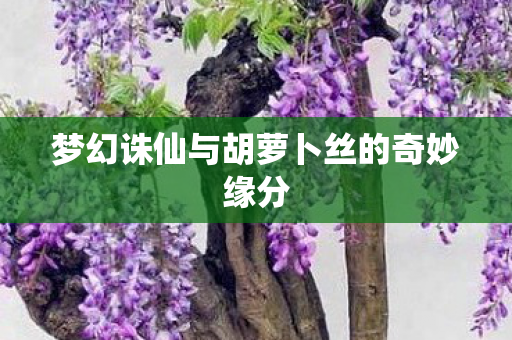 梦幻诛仙与胡萝卜丝的奇妙缘分 梦幻诛仙与胡萝卜丝的奇妙缘分