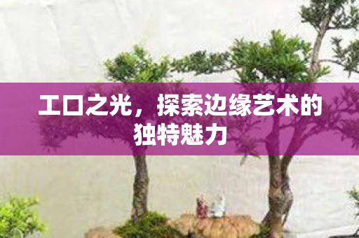 工口之光,探索边缘艺术的独特魅力 工口之光,探索边缘艺术的独特魅力