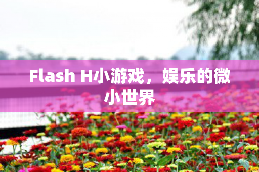 Flash H小游戏,娱乐的微小世界 Flash H小游戏,娱乐的微小世界