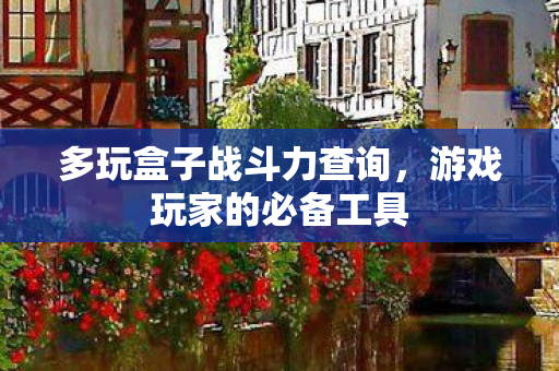 多玩盒子战斗力查询,游戏玩家的必备工具 多玩盒子战斗力查询,游戏玩家的必备工具
