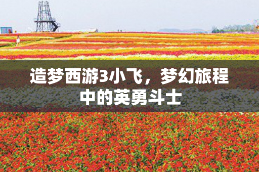 造梦西游3小飞,梦幻旅程中的英勇斗士 造梦西游3小飞,梦幻旅程中的英勇斗士
