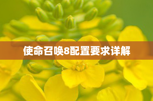 使命召唤8配置要求详解图片
