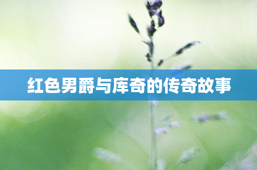 红色男爵与库奇的传奇故事图片