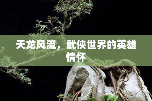 武侠世界的英雄情怀图片