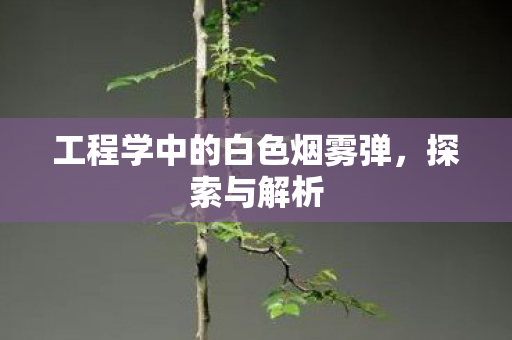 工程学中的白色烟雾弹图片