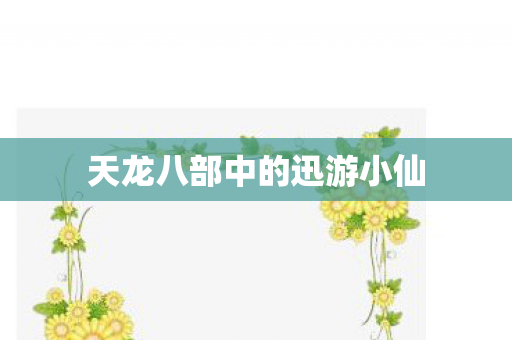 天龙八部中的迅游小仙图片