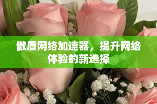 提升网络体验的新选择图片