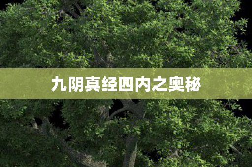 九阴真经四内之奥秘图片