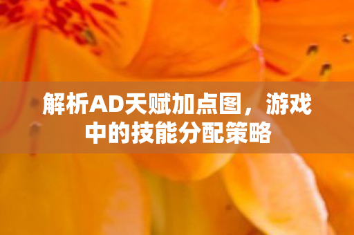 游戏中的技能分配策略图片
