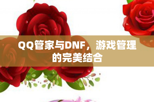 游戏管理的完美结合图片