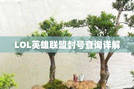 LOL英雄联盟封号查询详解图片
