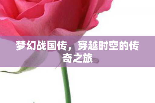 穿越时空的传奇之旅图片