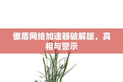 傲盾网络加速器破解版图片