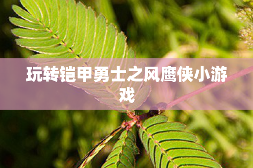 玩转铠甲勇士之风鹰侠小游戏图片