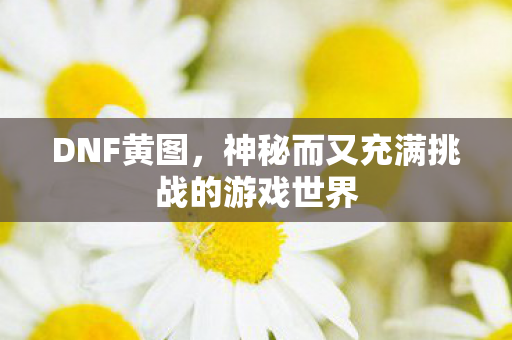神秘而又充满挑战的游戏世界图片