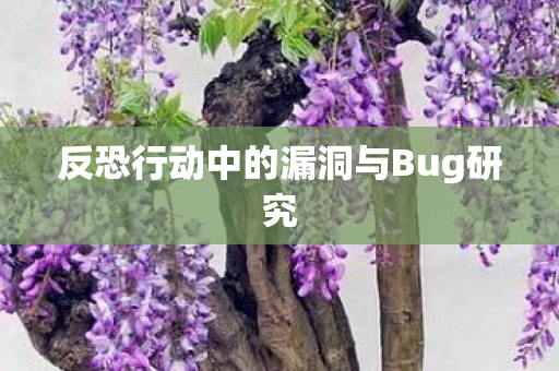 反恐行动中的漏洞与Bug研究图片