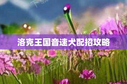 洛克王国音速犬配招攻略图片