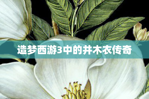 造梦西游3中的井木衣传奇图片