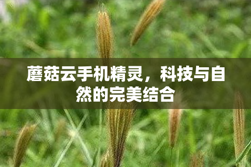 科技与自然的完美结合图片