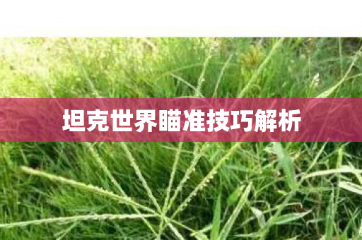 坦克世界瞄准技巧解析 坦克世界瞄准技巧解析