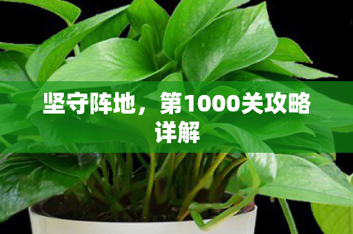 坚守阵地，第1000关攻略详解