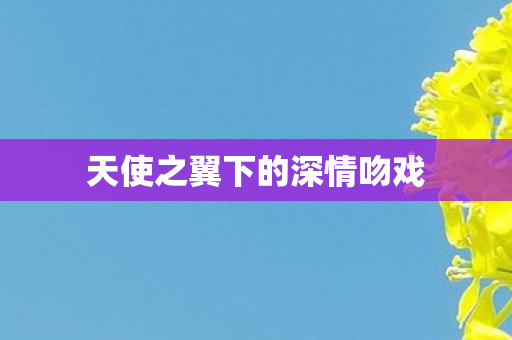 天使之翼下的深情吻戏图片