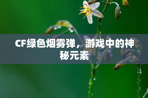 游戏中的神秘元素图片