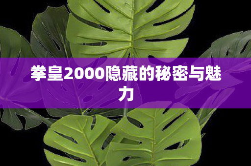 拳皇2000隐藏的秘密与魅力图片