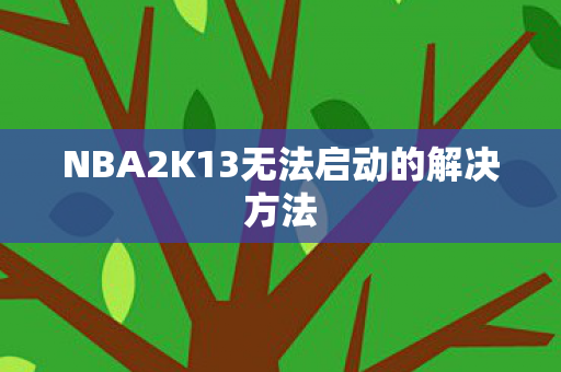 NBA2K13无法启动的解决方法图片
