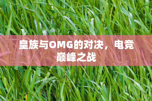 皇族与OMG的对决，电竞巅峰之战