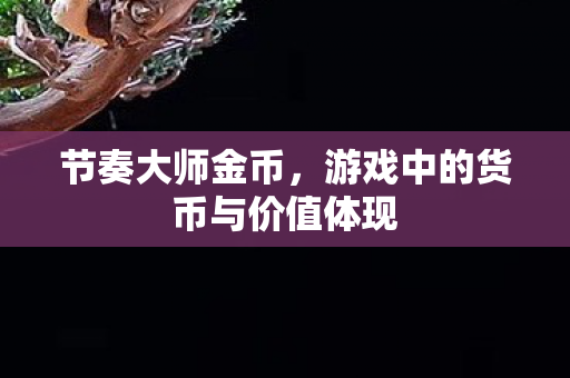 节奏大师金币,游戏中的货币与价值体现 节奏大师金币,游戏中的货币与价值体现