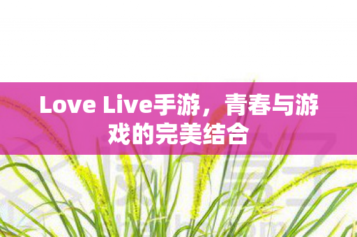 Love Live手游图片