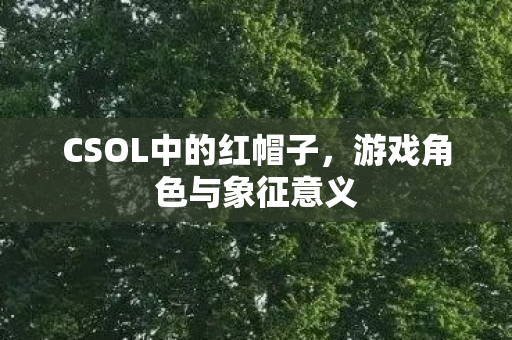 CSOL中的红帽子图片