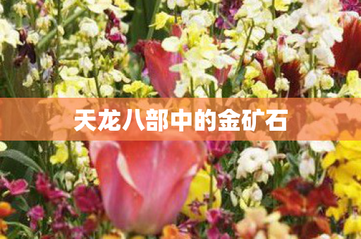 天龙八部中的金矿石图片