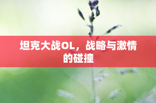 战略与激情的碰撞图片