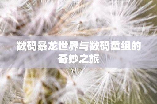 数码暴龙世界与数码重组的奇妙之旅图片