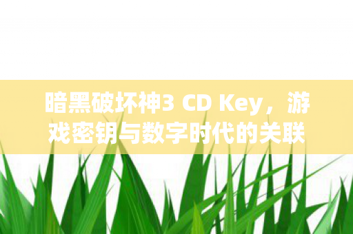 暗黑破坏神3 CD Key图片