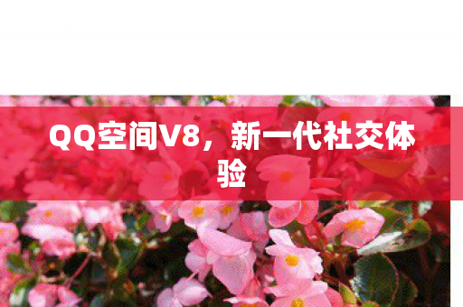 新一代社交体验图片