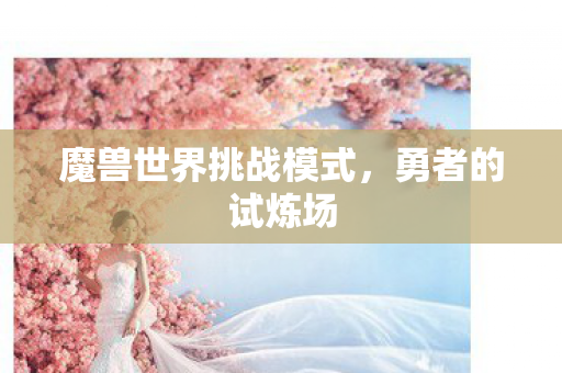 魔兽世界挑战模式图片