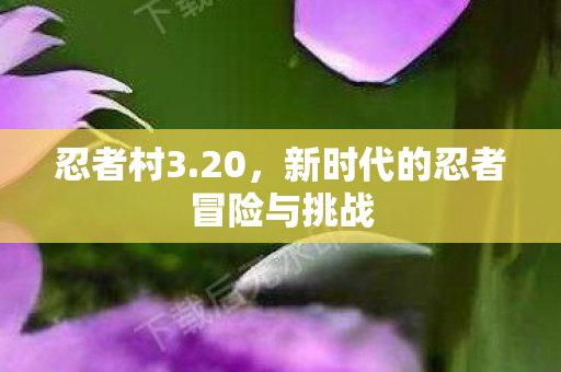 新时代的忍者冒险与挑战图片