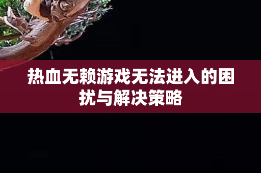 热血无赖游戏无法进入的困扰与解决策略图片