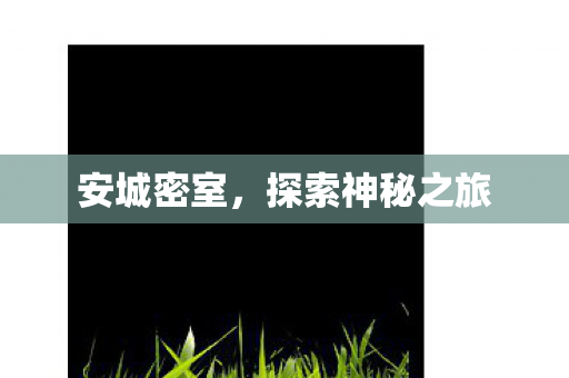 探索神秘之旅图片