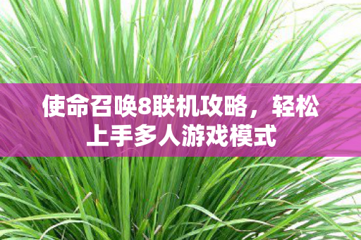 轻松上手多人游戏模式图片