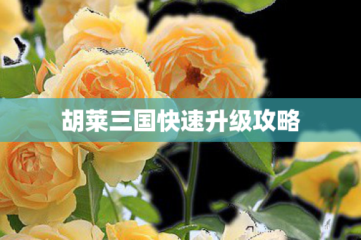 胡莱三国快速升级攻略图片