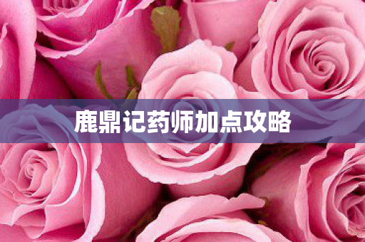 鹿鼎记药师加点攻略图片