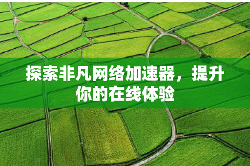 探索非凡网络加速器图片